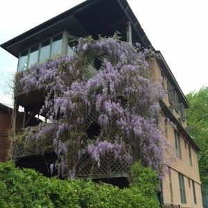 Meet your Posher, Albert